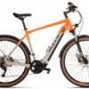BULLS Cross Rider EVO 1 - 29 Zoll 625Wh 10K Diamant - light grey/orange