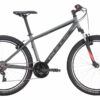 BULLS Pulsar 1 27.5 - 27.5 Zoll 18K Diamant - grey matt