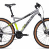 BULLS Sharptail 3 Disc 29 - 29 Zoll 27K Diamant - silver matt