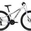 BULLS Zarena 1 29 - 29 Zoll 24K Diamant - white
