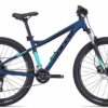 BULLS Zarena 2 29 - 29 Zoll 18K Diamant - dark petrol matt