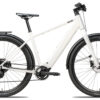 Coboc Skye City Chain DMT - 29 Zoll 400Wh 9K Diamant - ivory