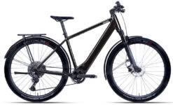 Coboc Skye Tour DMT Chain - 29 Zoll 400Wh 11K Diamant - slate