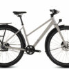 Cube Editor Pro FE - 28 Zoll 8N Trapez - oatgrey´n´grey