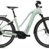 FLYER G1 Gotour 7.23 (NL-Version) - 28 Zoll 750Wh Enviolo Trapez - frosty sage gloss