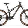 Megamo Reason CRB 07 - 29 Zoll 800Wh 12K Fully - Garnet UD