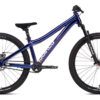 NS Bikes Movement 24 DJ/Pumptrack - 24 Zoll Diamant 1K - chameleon