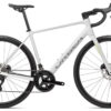 Orbea Avant H30 - 28 Zoll 24K Diamant - Golden White -Smooth Silver (Gloss)