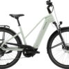 PEGASUS Solero EVO 10 - 28 Zoll 800WH 10K Trapez - sage