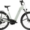 PEGASUS Solero EVO 10 - 28 Zoll 800Wh 10K Wave - sage