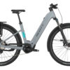 Scott Axis 10 Wave - 29 Zoll 800Wh 12K Wave - bird grey