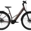 Tenways AGO Air Pro - 28 Zoll 540WH 5N Trapez - walnut brown