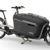 ca go FS200 Multi - 27.5/20 Zoll 625Wh Enviolo Lastenrad - grey